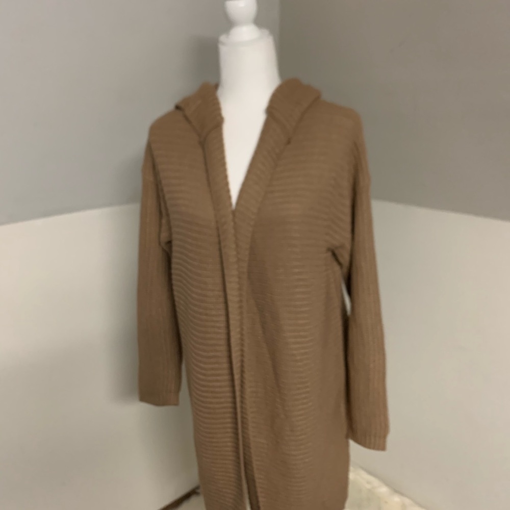 Forever21 Hooded Sweater